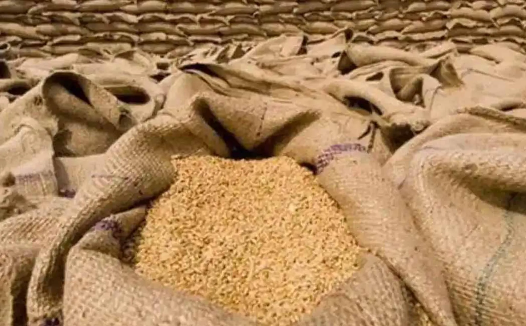 Central government bans wheat exports